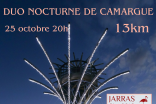 Duo Nocturne de Camargue