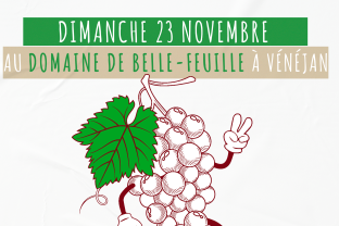 Trail de BelleFeuille